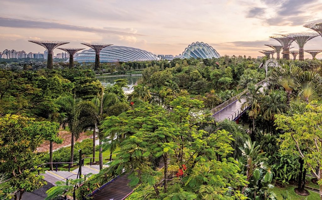 Singapore Green City within a Tropical Environment